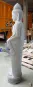 morepic-6
